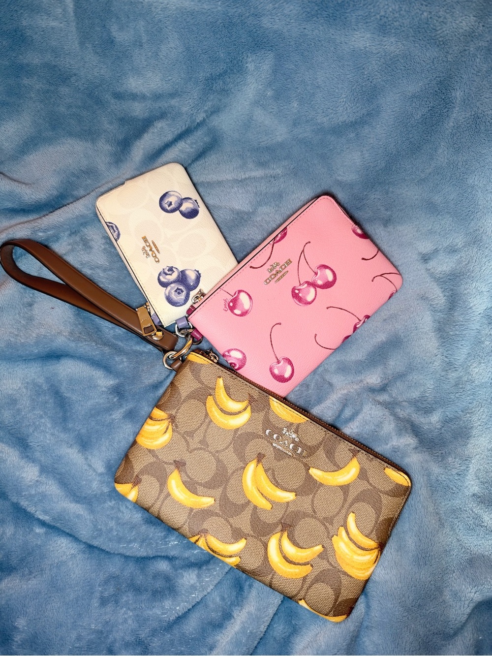 Coach trio pouches set of 3 fruit